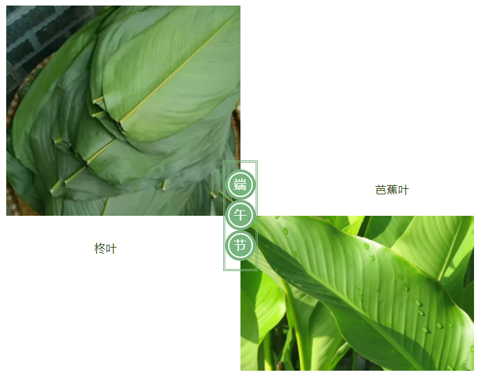 bifa必发88医纺
